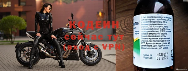 гидра Надым