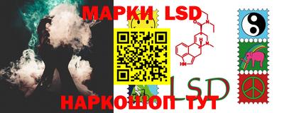 дмт Кингисепп