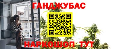 дмт Кингисепп