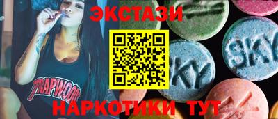 дмт Кингисепп