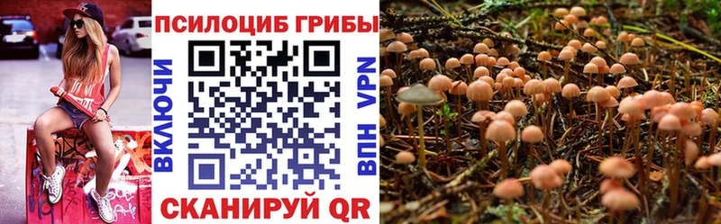 Галлюциногенные грибы MAGIC MUSHROOMS  цена   Михайловск 