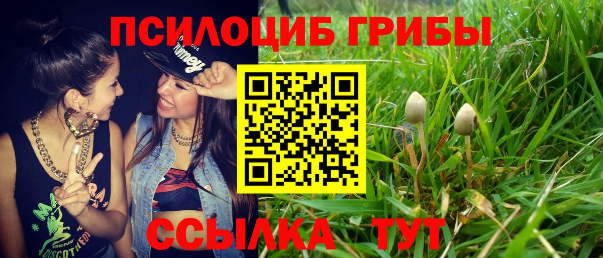 Михайловск  Псилоцибиновые грибы мицелий  Вход с VPN 