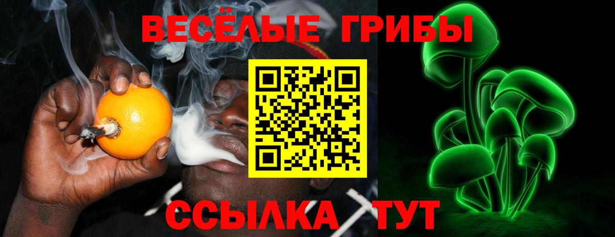 Галлюциногенные грибы ЛСД Михайловск